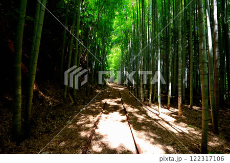 中国地方・旧国鉄倉吉線跡・日本一美しい廃線跡、竹林の木漏れ日に浮かぶ廃線の風景・鳥取県倉吉市(2) 中国地方・旧国鉄倉吉線跡・日本一美しい廃線跡、竹林の木漏れ日に浮かぶ廃線の風景・鳥取県倉吉市(2) 122317106
