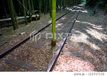 中国地方・旧国鉄倉吉線跡・インスタ映えスポットの主役、線路のレールの間に立つ竹・鳥取県倉吉市(3) 中国地方・旧国鉄倉吉線跡・インスタ映えスポットの主役、線路のレールの間に立つ竹・鳥取県倉吉市(3) 122317110
