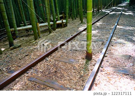 中国地方・旧国鉄倉吉線跡・インスタ映えスポットの主役、線路のレールの間に立つ竹・鳥取県倉吉市(4) 122317111