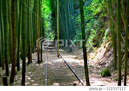 中国地方・旧国鉄倉吉線跡・インスタ映えスポットの主役、線路のレールの間に立つ竹・鳥取県倉吉市(8) 122317117