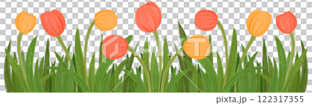 llustration of row of orange and red tulips 122317355