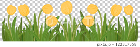 Row of yellow tulips 122317359