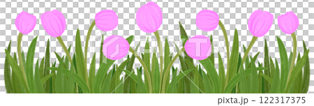 Row of pink tulips 122317375