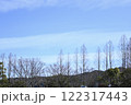 落葉した冬のメタセコイア 122317443