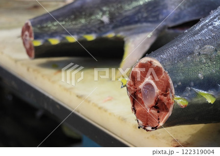 本マグロの尾の断面 マグロの目利き 本マグロの尾の断面 マグロの目利き 122319004