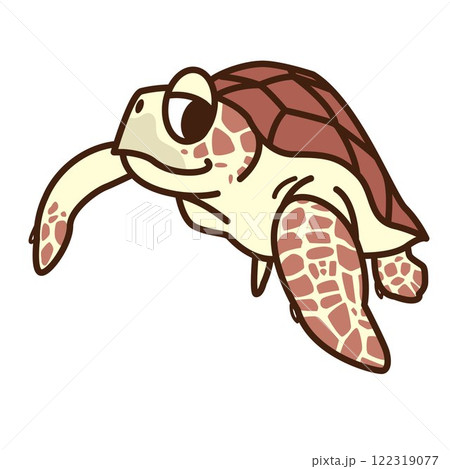 アカウミガメ アカウミガメ 122319077