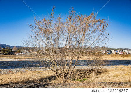 嵐山冬景色　京都市 122319277
