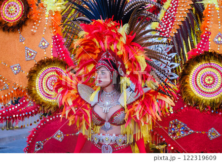 Vibrant Samba Dancer in Feathered and Beaded Costume at Carnival Parade Vibrant Samba Dancer in Feathered and Beaded Costume at Carnival Parade 122319609