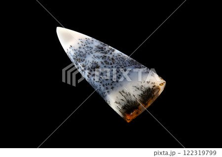 デンドリティック・アゲート 風景を宿す石 122319799