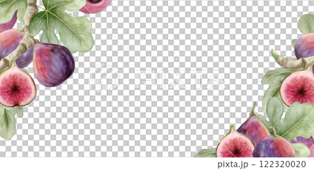 Hand drawn figs branch clipart with leaves watercolor frame isolated illustration. Hand drawn horizontal banner or label template with copy space. Summer fruits on twigs for tropical food designs Hand drawn figs branch clipart with leaves watercolor frame isolated illustration. Hand drawn horizontal banner or label template with copy space. Summer fruits on twigs for tropical food designs 122320020