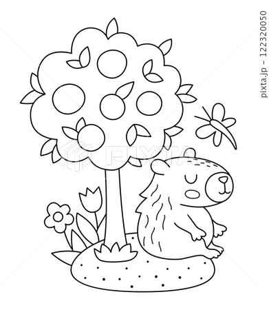 Vector black and white capybara illustration. Cute line scene with capibara sitting under tangerine tree with dragonfly and flowers. Funny spring or summer scene, coloring page with adorable animal Vector black and white capybara illustration. Cute line scene with capibara sitting under tangerine tree with dragonfly and flowers. Funny spring or summer scene, coloring page with adorable animal 122320050
