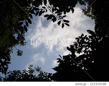 寒そうな冬空 122320106