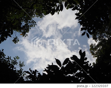 寒そうな冬空 122320107