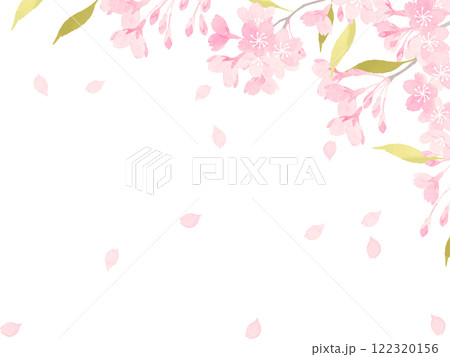 桜満開の背景素材2 122320156