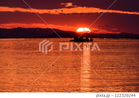 夕焼けを背景に風流島（たわれじま）光の道を渡る海鳥「枕草子や伊勢物語など平安時代の書物に登場」宇土市 122320244