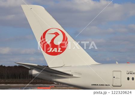着陸する旅客機 122320624