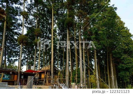 緑川ダム湖を眺められるアドベンチャー施設風景　「フォレストアドベンチャー・美里」(上益城郡美里町) 122321123