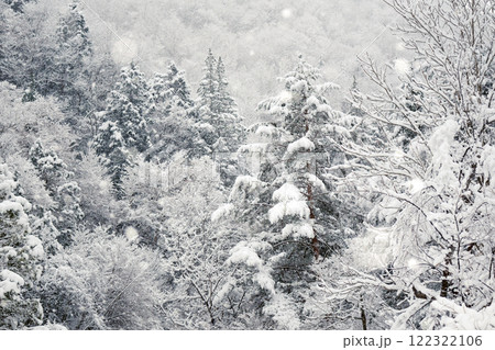 森に降りしきる雪 122322106