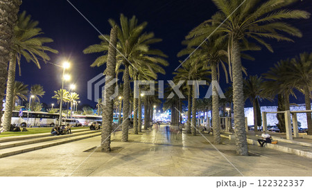 Palm Park in Jerusalem in the night timelapse hyperlapse 122322337