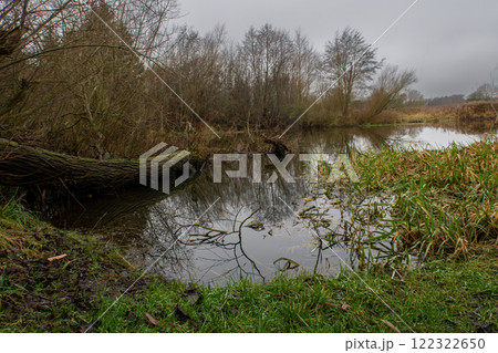 A peaceful river during fall colors with beautiful reflections in the water, Scania county, Sweden 122322650