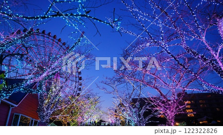 イルミネーションが輝くセレブレーション・プロムナードはよみうりランド 122322826