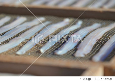 海産物の一夜干しは美味しいぞ 122323606