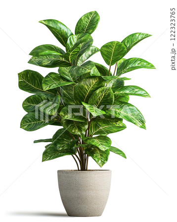 lush ornamental plant with vibrant green leaves in simple gray pot. ai generative 122323765