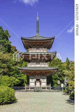 真禅寺(神宮寺) 三重塔 岐阜県垂井町 真禅寺(神宮寺) 三重塔 岐阜県垂井町 122323829