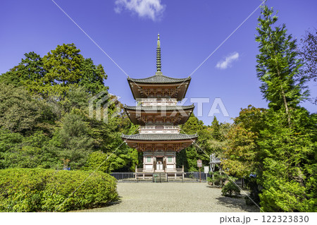 真禅寺(神宮寺) 三重塔 岐阜県垂井町 真禅寺(神宮寺) 三重塔 岐阜県垂井町 122323830