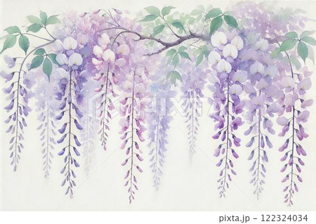 藤棚・藤の花 122324034