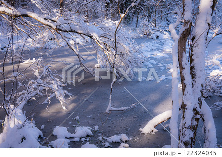 凍てつく沼【長野県】 凍てつく沼【長野県】 122324035