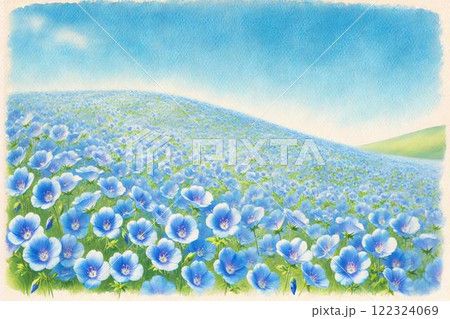 癒しの水彩画　ネモフィラの丘 ネモフィラの丘のイラスト素材 [122324069] - PIXTA