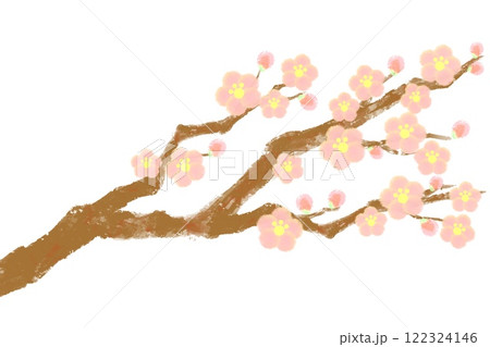 水彩で描いた梅の花のイラスト（ピンク） 122324146