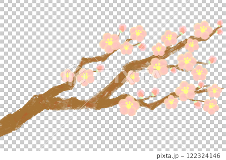 水彩で描いた梅の花のイラスト（ピンク） 122324146