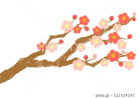 水彩で描いた梅の花のイラスト（赤とピンク） 122324147