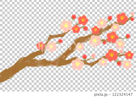 水彩で描いた梅の花のイラスト（赤とピンク） 122324147