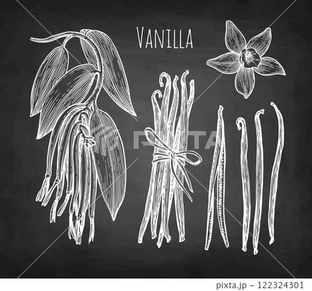 Vanilla spice chalk sketches Vanilla spice chalk sketches 122324301