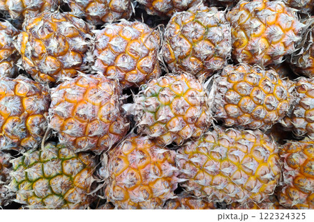 Stack of Phulae Pineapples on a market stall Stack of Phulae Pineapples on a market stall 122324325
