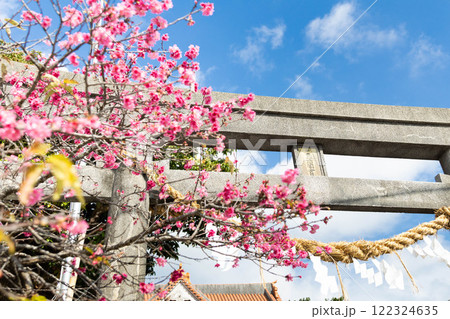 桜咲く初詣 122324635