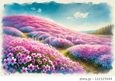 シバザクラの丘 122325044