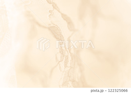 レース・美しい 背景素材 122325066