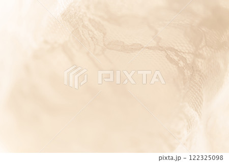 レース・美しい 背景素材 122325098