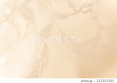 レース・美しい 背景素材 122325101