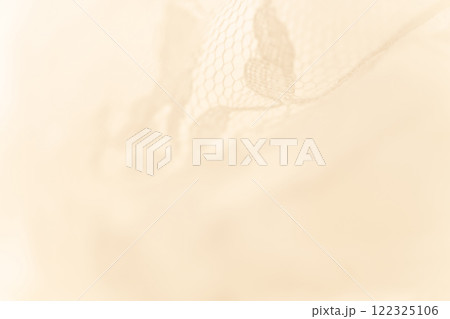レース・美しい 背景素材 122325106