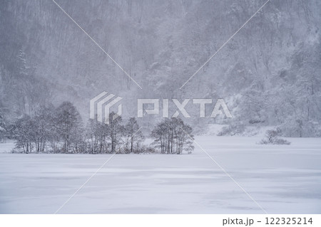 凍りついた秋元湖とその周囲に広がる木々の白い彫刻 凍りついた秋元湖とその周囲に広がる木々の白い彫刻 122325214