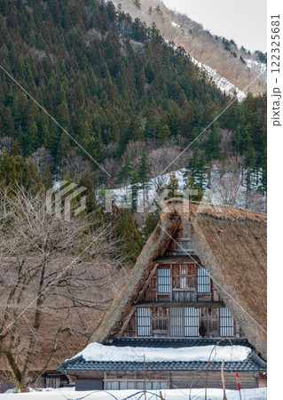 富山県 五箇山菅沼合掌造り集落 冬 富山県 五箇山菅沼合掌造り集落 冬 122325681