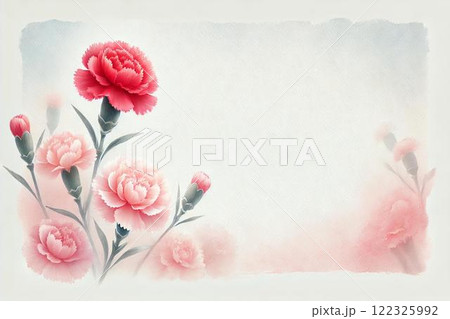 カーネーション カーネーション 122325992