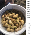 落花生 122326333