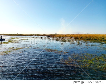 チョベリバーの風景 ボツワナ 4 チョベリバーの風景 ボツワナ 4 122328748