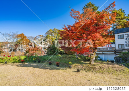 飯田市の名勝天龍峡の紅葉のある風景(長野県) 122328985